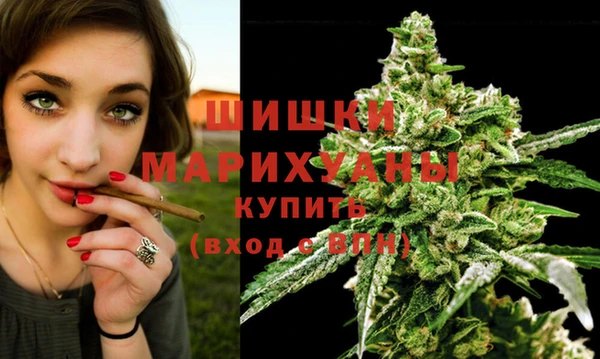 первитин Богородск