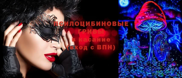 первитин Богородск