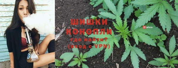 каннабис Богданович